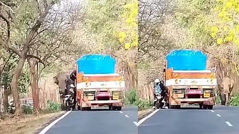 പാഞ്ഞടുത്ത കാട്ടുകൊമ്പനിൽ നിന്ന് ബൈക്ക് യാത്രികർ രക്ഷപ്പെട്ടത് തലനാരിഴക്ക്