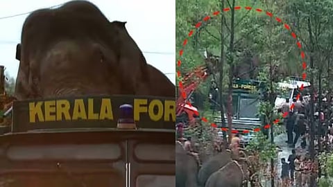 അരിക്കൊമ്പൻ പെരിയാർ വന്യജീവി സങ്കേതത്തിലേക്ക്; കുമളിയിൽ നിരോധനാജ്ഞ