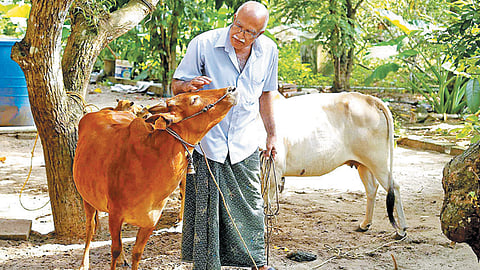 കേരളത്തിലെ ക്ഷീര കർഷകർക്ക് 'സരൾ കൃഷി ബീമാ'
