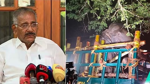 "അരിക്കൊമ്പന് പൂർണ്ണ ആരോഗ്യവാന്; കോളർ ഐഡിയിലൂടെ നിരന്തരം നിരീക്ഷിക്കും"; മന്ത്രി എകെ ശശീന്ദ്രന്