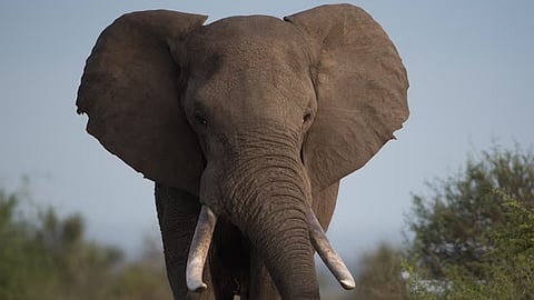 പ്രതീകാത്മക ചിത്രം