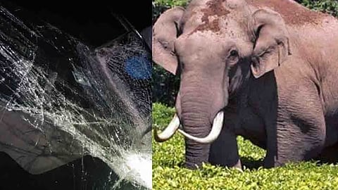 ചിന്നക്കനാലിൽ കാട്ടാനയെ കാറിടിച്ചു; യാത്രികന് ഗുരുതരപരിക്ക്