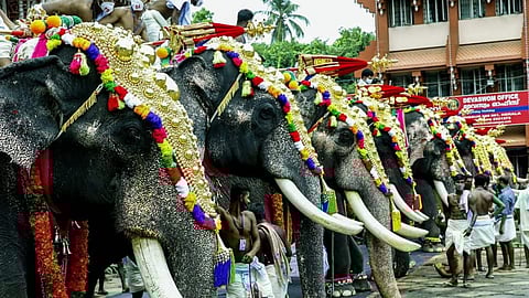 ഉത്സവങ്ങൾക്ക് ആനയെ എഴുന്നള്ളിക്കുന്നതിന് നിയന്ത്രണങ്ങൾ വേണം: ഹൈക്കോടതി