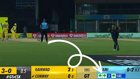 പരിസ്ഥിതി സ്നേഹികൾക്ക് ഡോട്ട് ബോളുകളെ പ്രണയിക്കാം