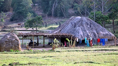 ബ്രഹ്മഗിരി - തിരുനെല്ലി ആന ഇടനാഴിയിലുണ്ടായിരുന്ന വീടുകളിലൊന്ന്.