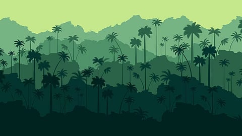 ആയിരം പച്ചത്തുരുത്തുകൾക്കു കൂടി തുടക്കമാകുന്നു