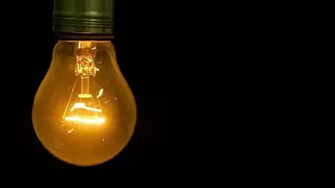 government to pay scheduled tribe family kseb bill due