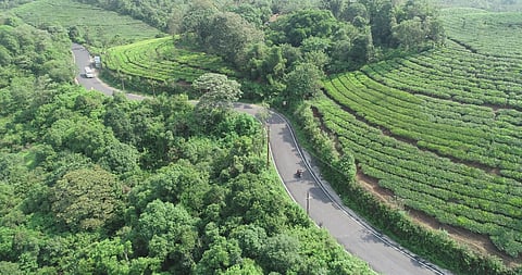 സഞ്ചാരികളുടെ പറുദീസയിലേക്കുള്ള റോഡിന് ശാപമോക്ഷം: നവീകരിച്ച വാഗമൺ റോഡ് ഉദ്ഘാടനം 7ന്