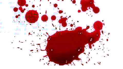 3, 4, 7 വയസുള്ള ആൺമക്കളെ നിരത്തി നിർത്തി വെടിവച്ചു കൊന്നു; പിതാവ് അറസ്റ്റിൽ