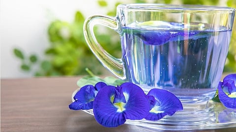 ത്രിദോഷശമനത്തിന് നീലച്ചായ