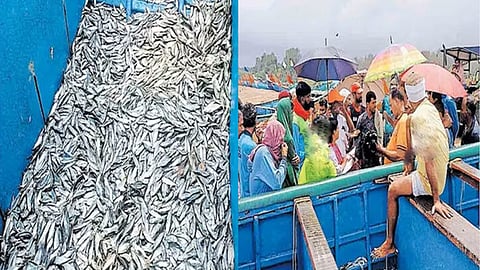 ഫിഷറീസ് വകുപ്പ് പിടിച്ചെടുത്ത മീനും വള്ളവും