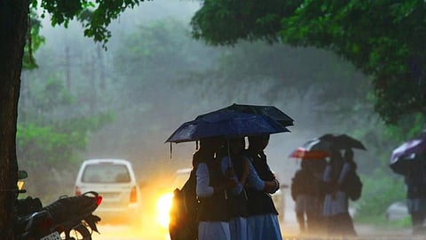 Kerala rain yellow alert till June 3