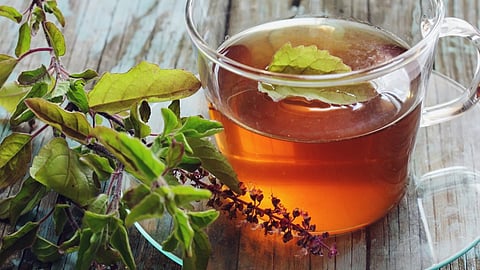 മണവും ഗുണവുമുള്ള തുളസിച്ചായ