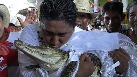 230 വർഷം പഴക്കമുള്ള ആചാരം; മുതലയെ വിവാഹം ചെയ്ത് മേയർ..!! (Video)