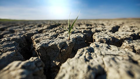 Drought, Representative photo