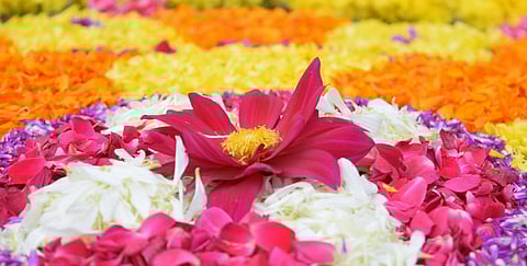 ഓണപ്പൂക്കളം.