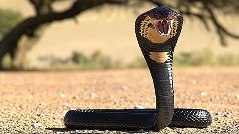 Symbolic image