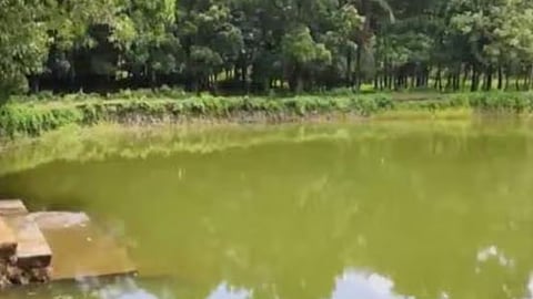 അപകടം നടന്ന കുളം