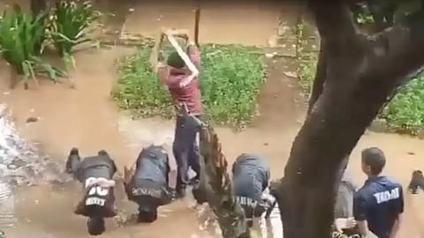 Screen shot from Video