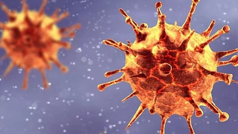 ഖത്തറിൽ കൊവിഡിന്റെ പുതിയ വകഭേദം; ജാഗ്രത നിർദേശം