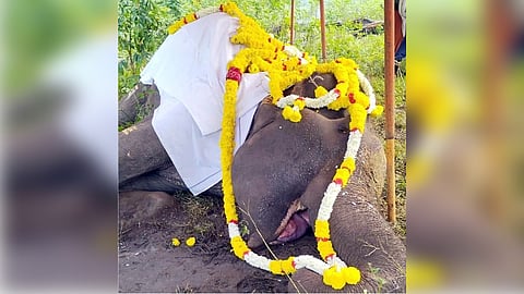 മുതുമല മൂർത്തിയുടെ സംസ്കാരച്ചടങ്ങിൽനിന്ന്.