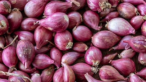 Shallot onion