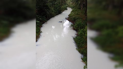 അമോണിയം കയറ്റിവന്ന വണ്ടി മറിഞ്ഞതിനെ തുടർന്ന് മലിനമായ തോട്