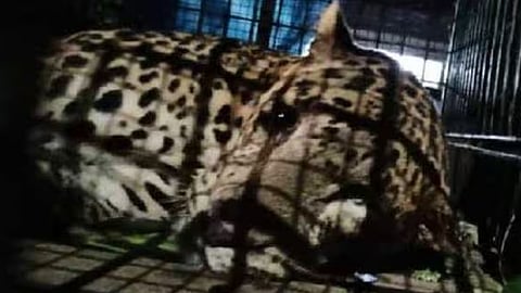 ടെലിവിഷൻ ചിത്രം