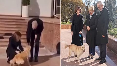 Moldovan president pet dog bites Austrian president