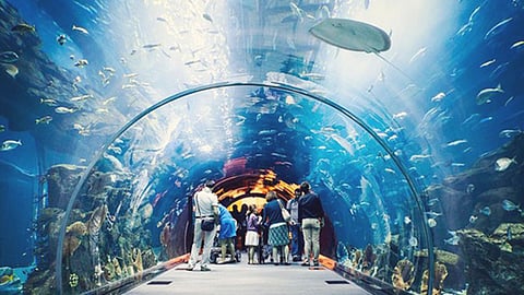 കൊല്ലത്ത് ഓഷ്യനേറിയവും മറൈന് മ്യൂസിയവും: 10 കോടി അനുവദിച്ചു