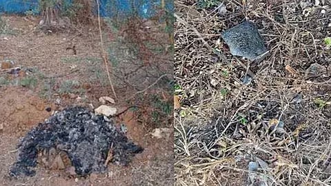 പാർലമെന്റ് പുകയാക്രമണം; പ്രതികളുടെ ഫോണുകൾ കത്തിക്കരിഞ്ഞ നിലയിൽ