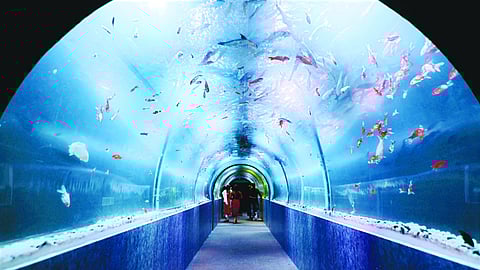 ആലപ്പുഴയിലെ അണ്ടർവാട്ടർ ടണൽ അക്വേറിയം.