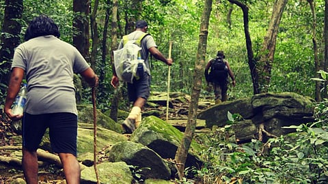 അഗസ്ത്യാര്കൂടം ട്രെക്കിങ്: ഓൺലൈൻ രജിസ്ട്രേഷൻ 13 മുതൽ; അറിയേണ്ടതെല്ലാം...