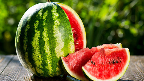 Water melon