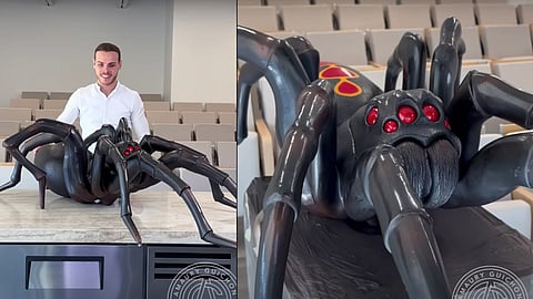 നല്ല മധുരമുള്ള 'എട്ടുകാലി'യെ തിന്നാലോ..!!! | Video