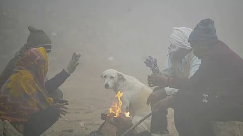 cold waves in north india red alert in 6 states