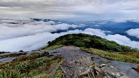 agasthyarkoodam trekking 2024