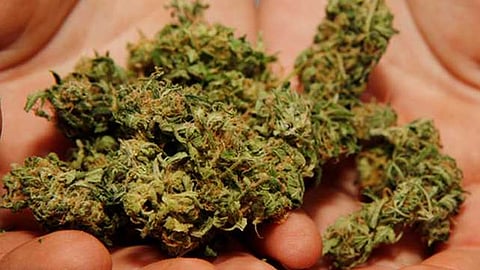 5 kg marijuana seized from shoranur railway platform