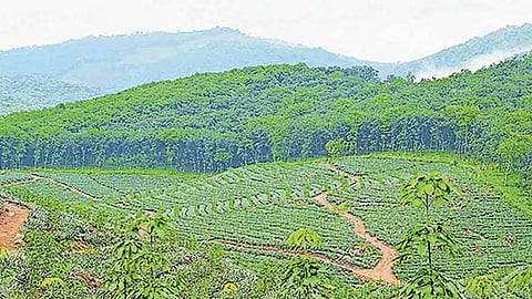 ശബരിമല വിമാനത്താവളം; 2,570 ഏക്കര് ഭൂമി ഏറ്റെടുക്കാൻ നടപടി ആരംഭിച്ചതായി മുഖ്യമന്ത്രി