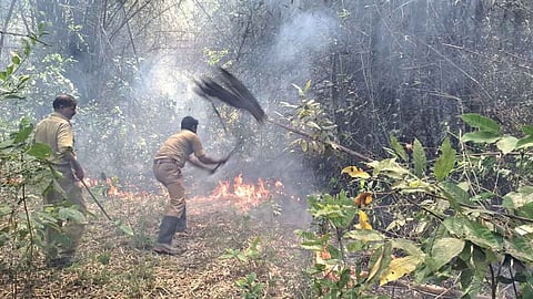 കക്കയത്ത് വീണ്ടും തീപിടിത്തം