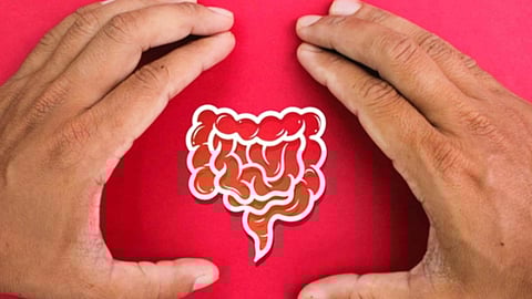 കുടലിന്റെ ആരോഗ്യത്തിൽ വിട്ടുവീഴ്ച പാടില്ല; അറിഞ്ഞിരിക്കേണ്ട കാര്യങ്ങൾ