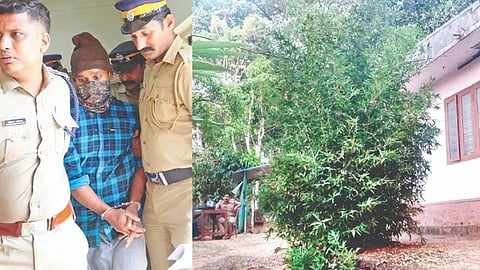 കട്ടപ്പന ഇരട്ടക്കൊലപാതകം: മൃതദേഹങ്ങൾ ഇന്ന് പുറത്തെടുക്കും