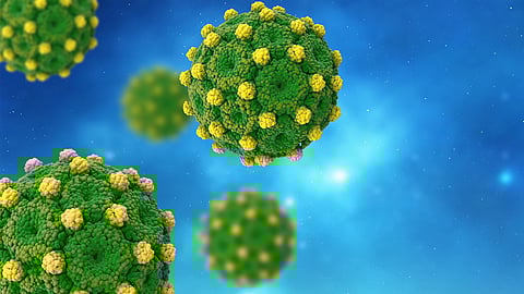 viral hepatitis malappuram death toll rises to 3