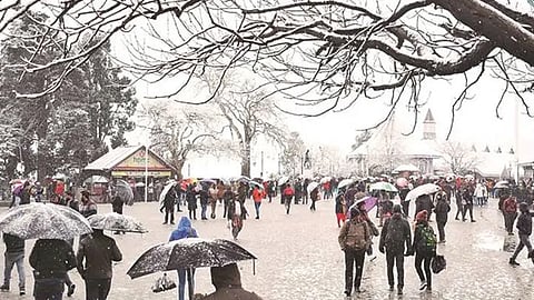 ഹിമാചൽ പ്രദേശ്