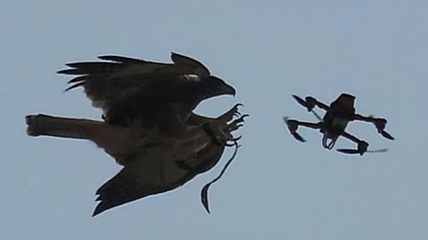 telangana police introduced eagle squad for drone hunt