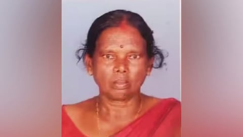 forest department killed wild boar attacked in palakkad