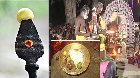 തമിഴ്നാട്ടിൽ 2.3 ലക്ഷം രൂപയ്ക്ക് വിറ്റത് നേദിച്ച 9 ചെറുനാരങ്ങകൾ