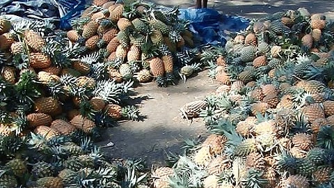 Pineapple market