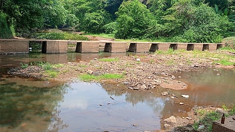 heat wave rivers dry up