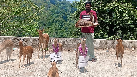 deer trade is interesting for tourists